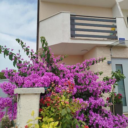 Ferienwohnung Smokvica Savudrija Exterior foto