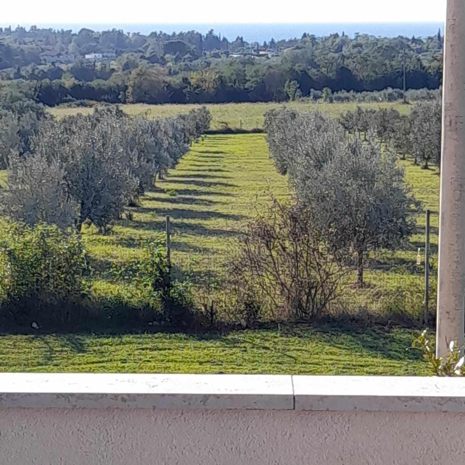 Ferienwohnung Smokvica Savudrija Exterior foto